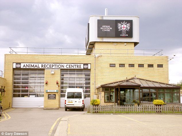 heathrow animal reception centre